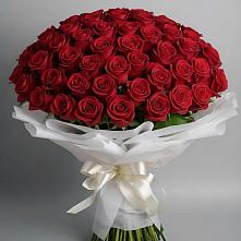 Букет 101 Красная роза Блэк Мэджик в Сольвычегодске