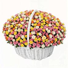 Премиум букет из: Розы в Сольвычегодске