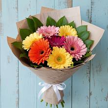 Букет цветов из:  Герберы в Сольвычегодске