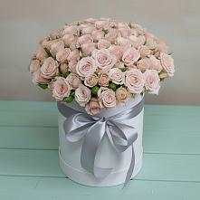 Цветочная композиция из Розы в шляпной коробке #REPLACE_PRED# Сольвычегодске