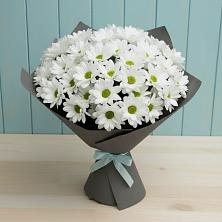 Букет цветов из:  Хризантемы в Сольвычегодске