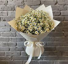 Букет цветов из:  Ромашки в Сольвычегодске