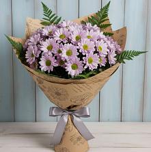 Букет цветов из:  Хризантемы в Сольвычегодске