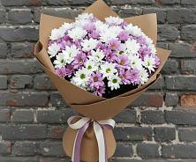 Букет цветов из:  Хризантемы в Сольвычегодске