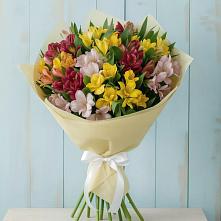 Букет цветов из:  Альстромерии в Сольвычегодске