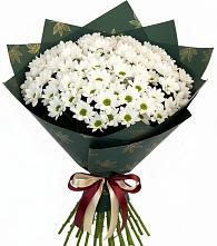 Букет цветов из:  Хризантемы в Сольвычегодске