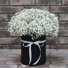 Цветочная композиция из Гипсофила в шляпной коробке в Сольвычегодске