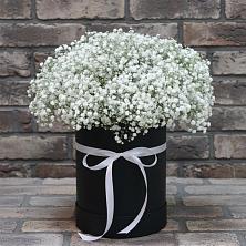 Цветочная композиция из Гипсофила в шляпной коробке в Сольвычегодске