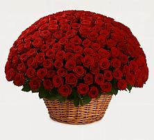 Премиум букет из: Розы в Сольвычегодске