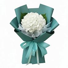 Букет цветов из:  Гортензия #REPLACE_PRED# Сольвычегодске